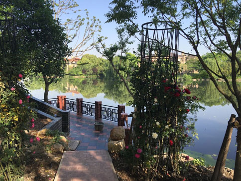 佘山紫都晶園27號別墅庭院項目